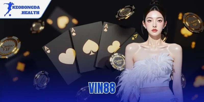 VIN88